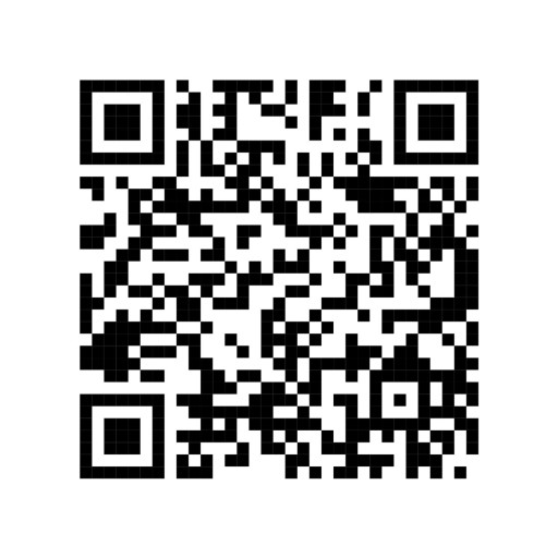 Demo QR Code
